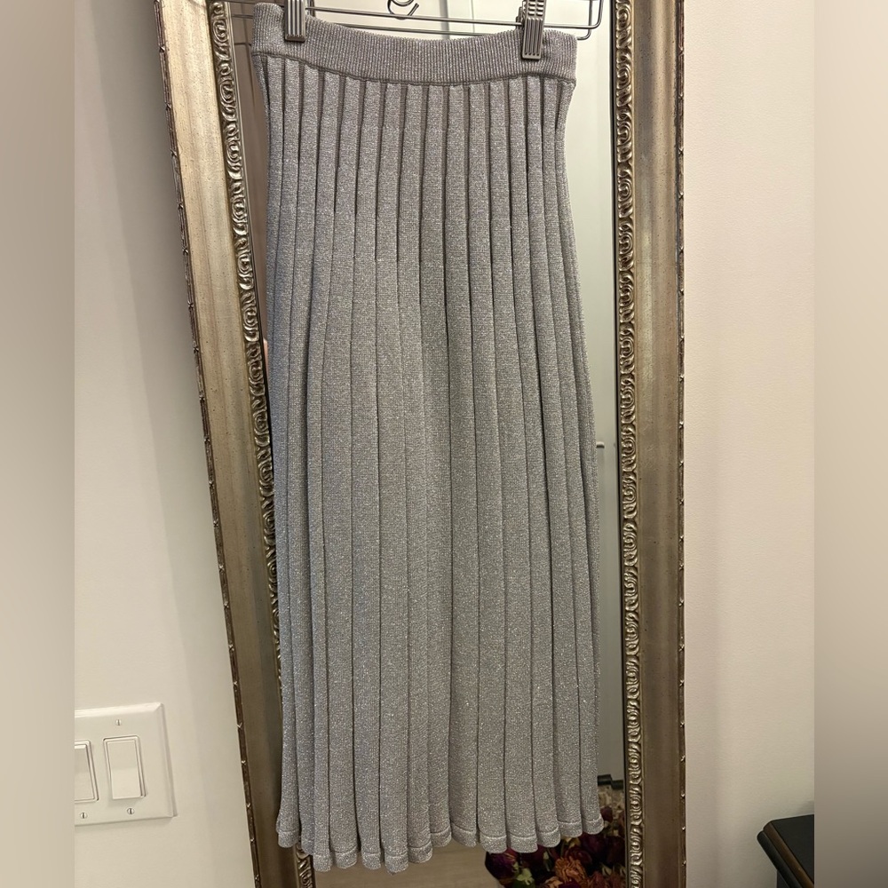 Silver pleated midi skirt - Aritzia